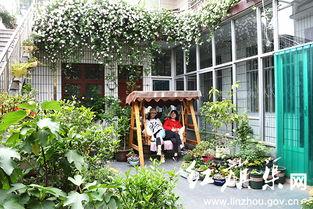 网红有自己的小院被发现,揭秘小院背后的温馨故事