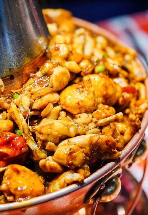 牛蛙可以当网红吗吗,揭秘动物界的网络新宠