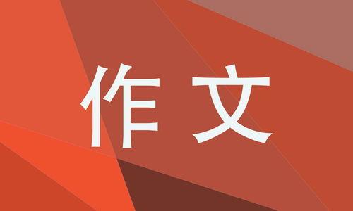 头条800字的文章,揭秘热点事件背后的真相与启示