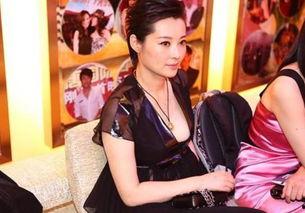 信阳商城明星,璀璨星光下的商业传奇