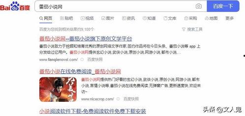 注册头条小说作者怎么填,轻松开启创作之旅