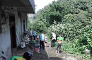 浦北网今天爆料案件最新,最新案件进展，真相即将揭晓！”