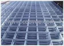 网红虾笼子,揭秘海鲜捕捞新潮流