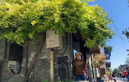 北京网红胡同介绍视频,探寻老城魅力与文化印记