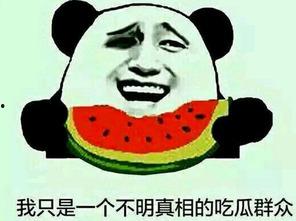 宿院吃瓜事件吃瓜群众是谁,吃瓜群众众生相